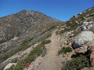 On the PCT north of Fobes Saddle