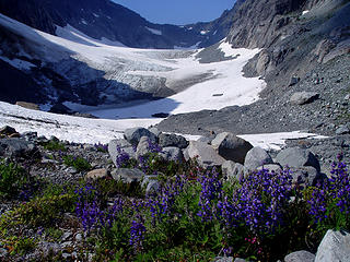 Columbia Glacier terminus