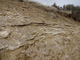 Layer of carbonate.