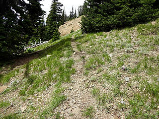 I followed what looked like a trail from the 6200' saddle between Bismarck and Rattlesnake Peaks. I had to climb back up to the ridge to Bismarck when I lost it.