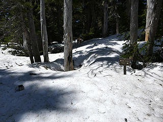 Snow levels Klapatche Park (5500':)