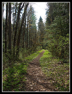 Beaver Lake Trail
