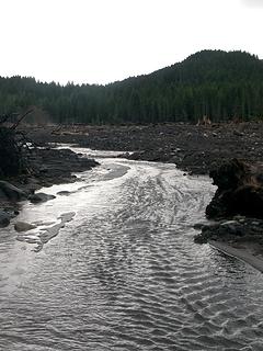 Offshoot of Nisqually River