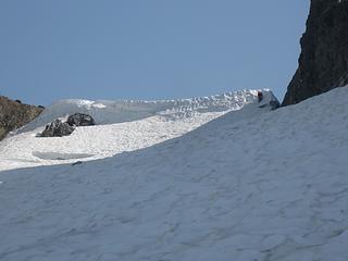 Tauschia climbing the snow plug