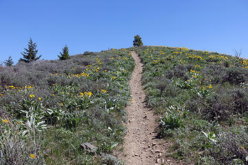 Approaching the East summit.