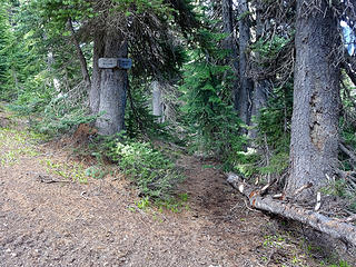 The Bismarck Peak Trail branches off of the Pear Butte Trail. I spent some time sprucing up this intersection since I walked right past it without seeing it.