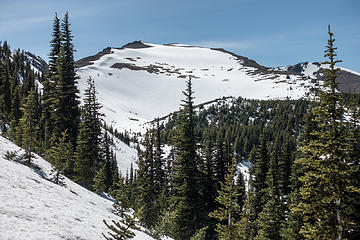 looking back to baldy