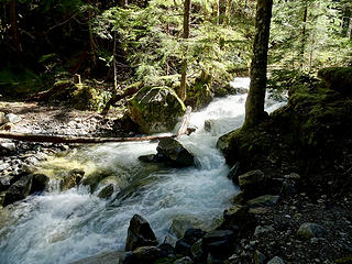 Dolly Creek at high water
