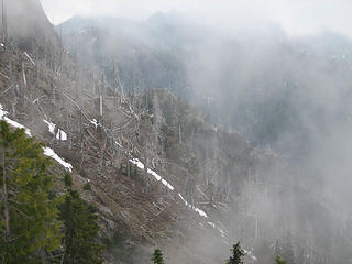 the foggy ridge
