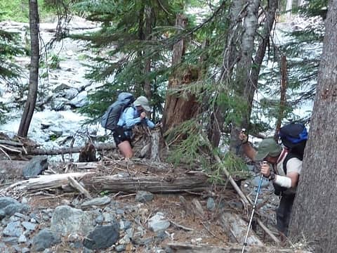 At this point a slide blocked upstream travel. We ascended a rugged slope to a bench high above the water. We could see the route ahead of us on this side of the creek was impassible. Our only choice was to drop back to Rustler Creek and look for a place to cross. (photo: Jeff)