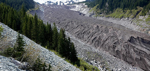 Lower Carbon Glacier