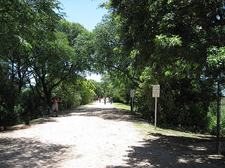Road through the Reserva Ecologica