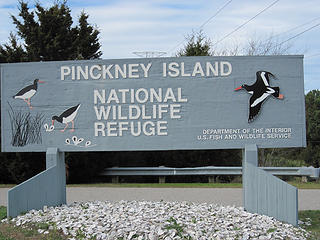 Pinckney Island South Carolina