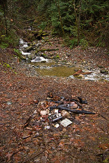 Creek side fire pit
