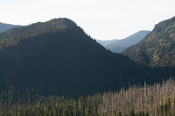 views back to the valley and forest fire remnants