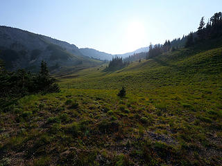 Transiting meadow to regain Huckleberry Creek trail
