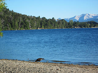Lago Guitierrez, where the trail to refugio Frey begins.