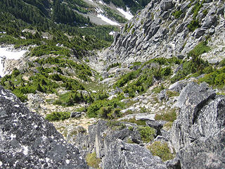Looking down from the summit crest at the hidden heather gully, and the broader slope it leads to higher up.  The South Rib is on the left and the main gulley system is well to the right of the heather on the other side of the scrub trees and is bordered by the steep rock face at upper right