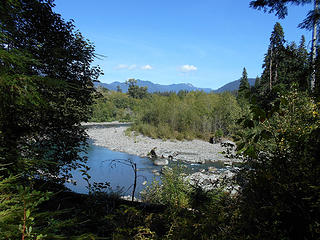 Queets River Trail (approx.) mile 5.2 090418 01
