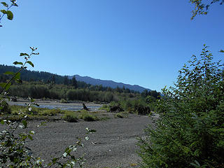 Queets River Trail (approx.) mile 3.0 090418 02