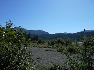 Queets River Trail (approx.) mile 3.0 090418 01