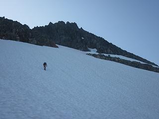 Tauschia on the snow traverse