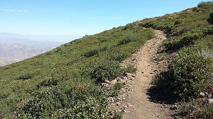 On the PCT