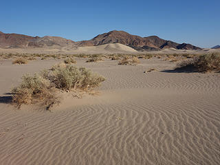 Ibex Dunes, Death Valley Wilderness