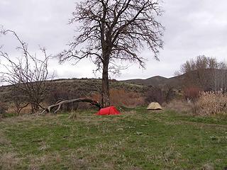 Camp site at Bird Song