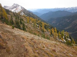 Trail and larches