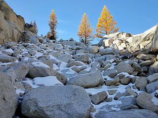 Boulders and Larch