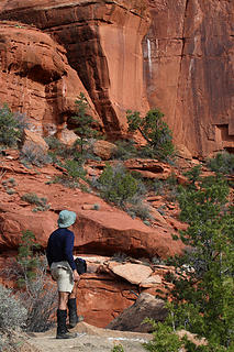 2- Admiring Zion's cliffs