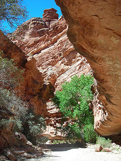 Inside Hualapai Canyon