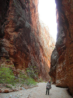 Carbonate Canyon