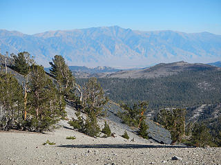 northern Sierras