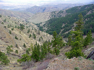 Canyon down from the N ridge