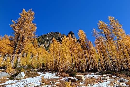 More larch and rock above me