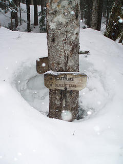 Olallie Lake Trail Sign 04/01/2007