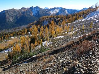 Golden larches on the PCT