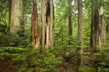 Cypress Provincial Park, North Vancouver, British Columbia Portfolio: <a href="http://www.lucascometto.com" target="_blank">www.lucascometto.com</a>
