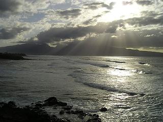 Maui Sunbeams