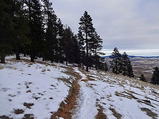 Ridge trail.