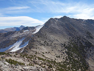 North Ridge of White Mtn 12,057'