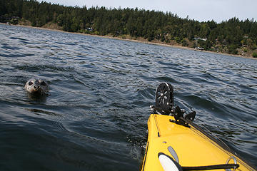 Kayaking off Salt Spring Island BC