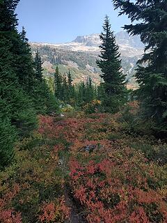 Autumn colors at Thunder Basin Hiker Camp
