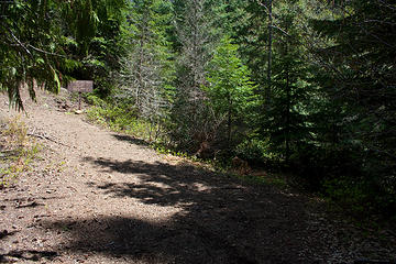 The Kachess Ridge Trailhead is by this sign ahead, the Easton Ridge trail starts through the opening on the right before this sign.