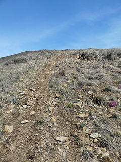 Mountain bike trail to the summit