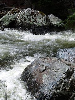 The chilly waters of the North Fork start in the mountains above Granite, OR and join the John Day River near Dayville, OR
