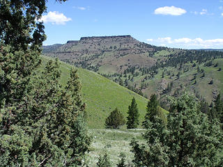Junipers reign supreme in the arid and rugged John Day Country of Eastern OR