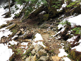 The new Kelley Creek Trail 1/25/19